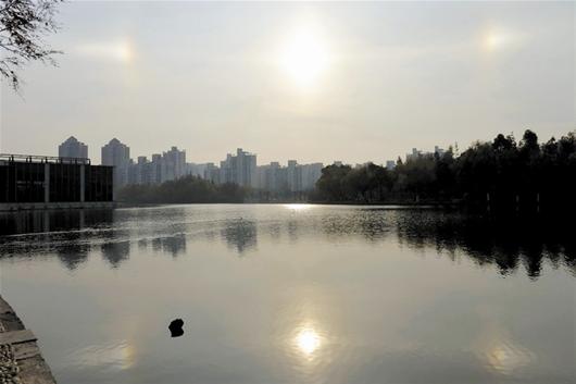 上海出现3个太阳图片