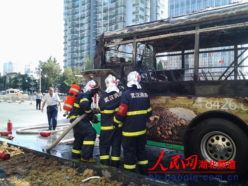 585路公交车图片