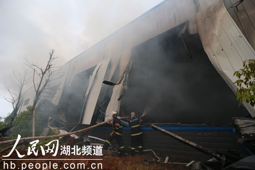 武汉蔡甸一食品加工厂失火 数公里外可见黑色