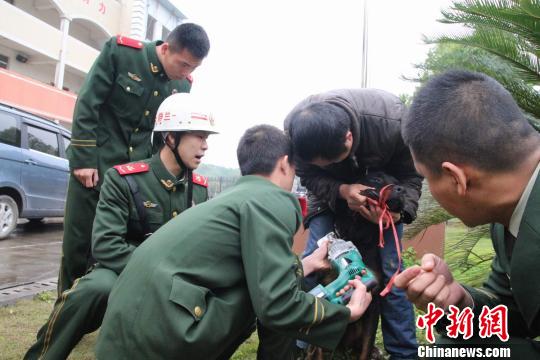 德国名犬罗威纳被铁环插喉 难以取出求助消防