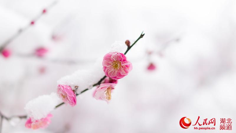 《图说中国》网友王振祥  摄