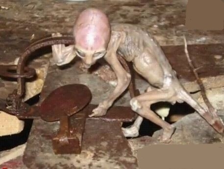 全球99大未解之谜