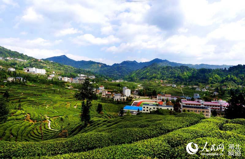 中国最美小镇邓村茗茶飘香风景更迷人