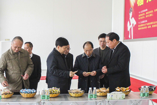 农行湖北省分行党委书记、行长朱正罡到福娃集团调研