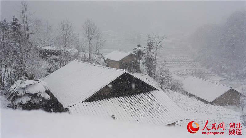 高清组图:湖北宜昌降下新年首场雪