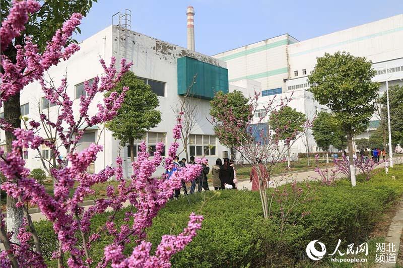 武汉全面启动垃圾厂增绿工程 生活垃圾处理厂