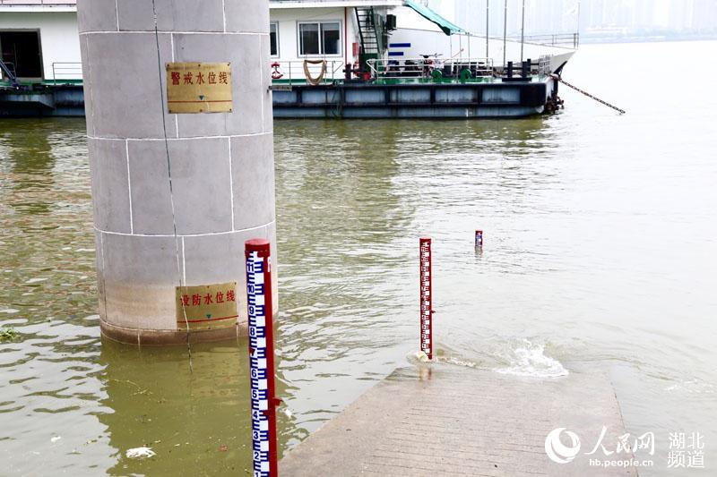 湖北出现首超警戒站点 长江汉口站水位距设防