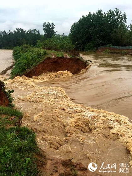 湖北阳新县一截流港现30米长溃口 上万人受洪
