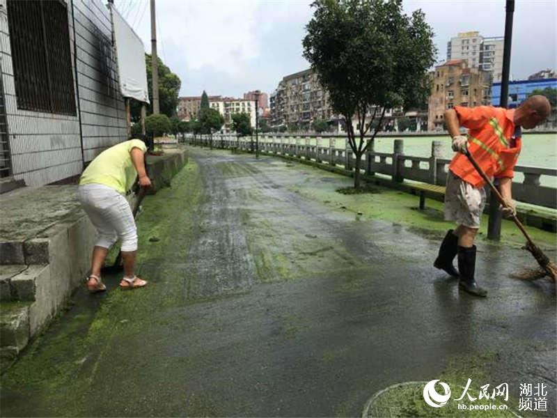 武汉汉阳区暴雨过后 路面覆盖大量青苔