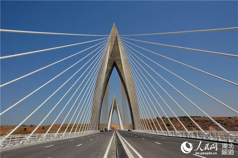 中国中铁大桥局承建非洲最大斜拉桥通车