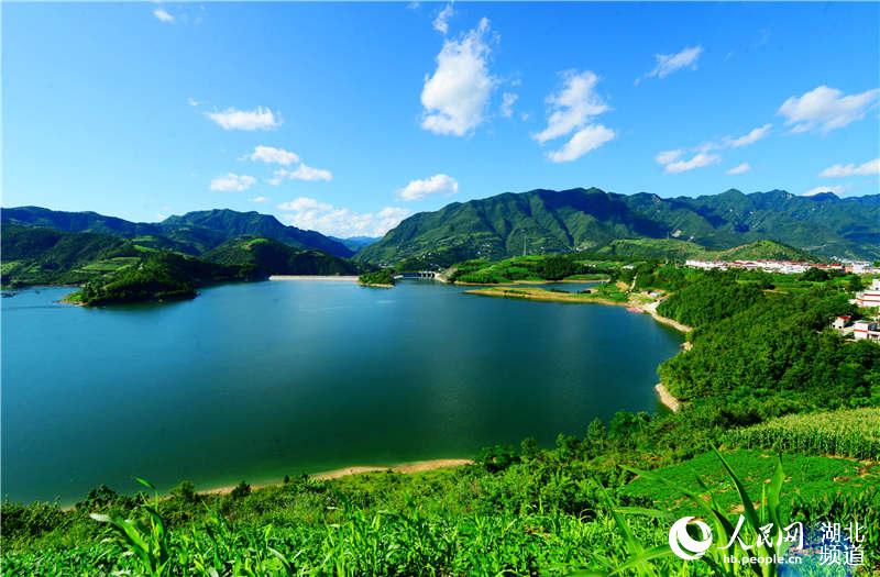 湖北保康:美景鹌鹑入画来玉鸟喂新村蛋可以么、图片