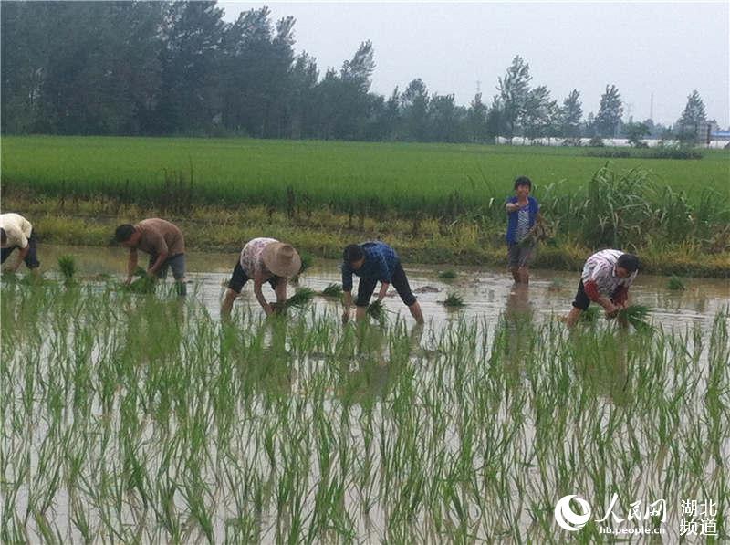 浠水兰溪人口_浠水二中校花照片