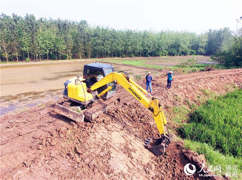 湖北钟祥:修复水毁堤坝