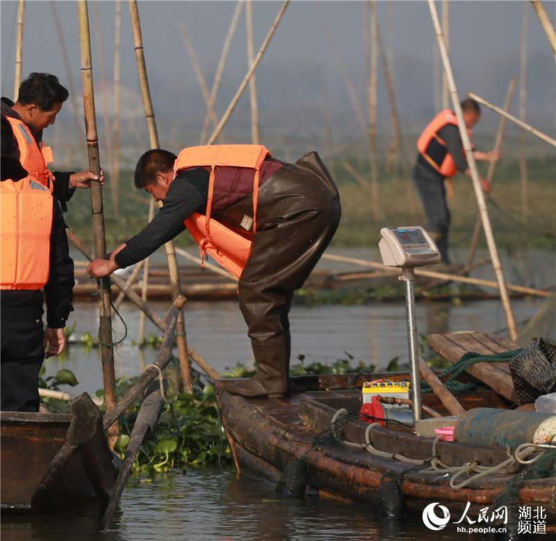 沙洋有多少人口_沙洋人游沙洋一路上部分掠影 我是拍客 沙洋社区网 Powered b(2)