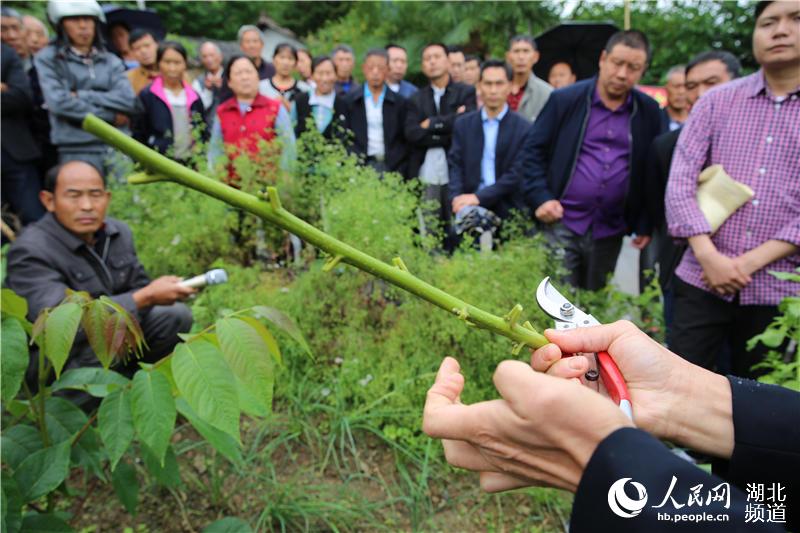 磨坪乡人口_为民办实事 让百姓安心(3)