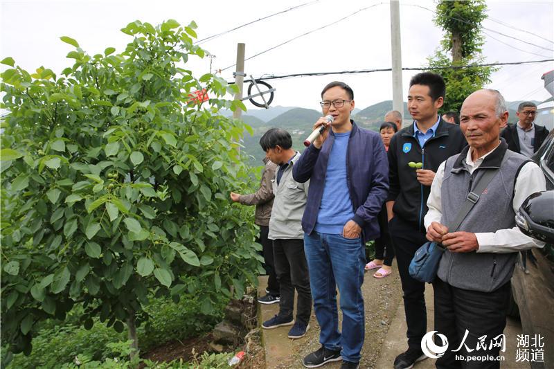 磨坪乡人口_为民办实事 让百姓安心(2)