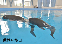 绷