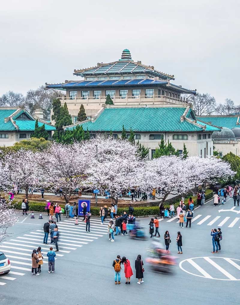 武汉人口增长_人口迁移的国际规律与中国展望 从齐增到分化 房地产周期研究(3)