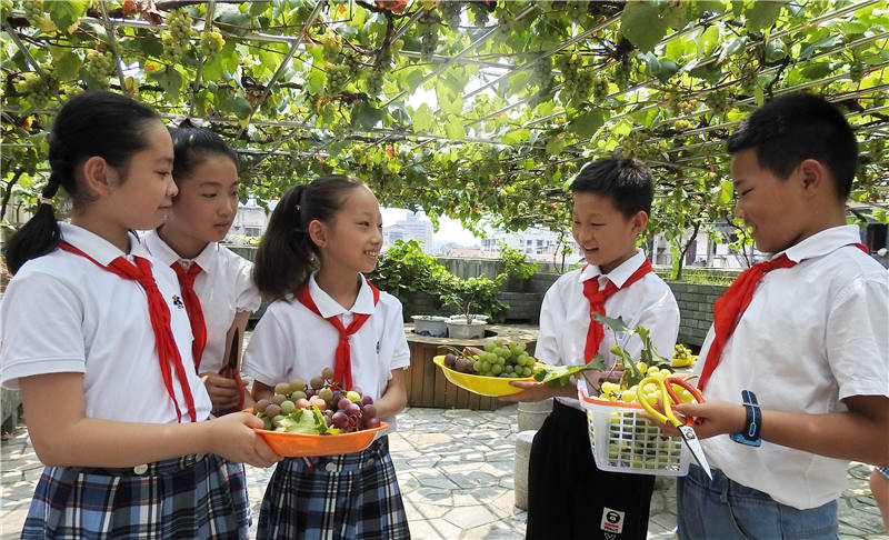 该校四年级学生们摘完葡萄后一起分享劳动收获.