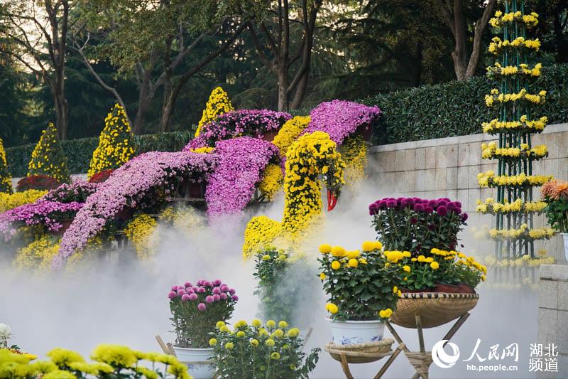 武汉市金秋菊展今日开幕 200多万盆菊花点靓“新花城”(图2)