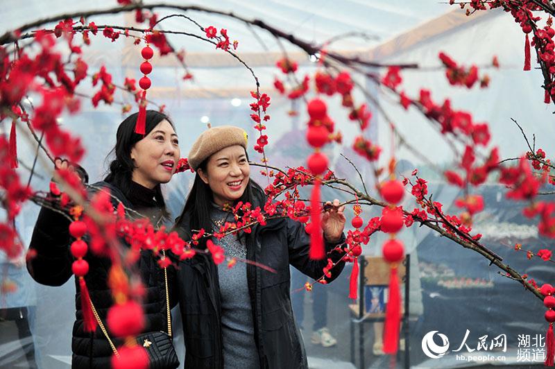 湖北宜昌：百花爭艷喜迎春【3】