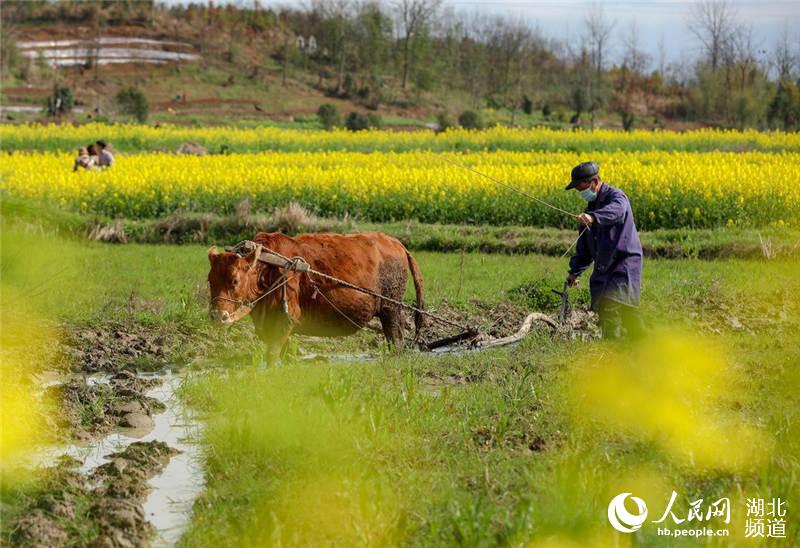 ��·����ʨ�Ӵ�ũ�����ڸ���������� �㣩