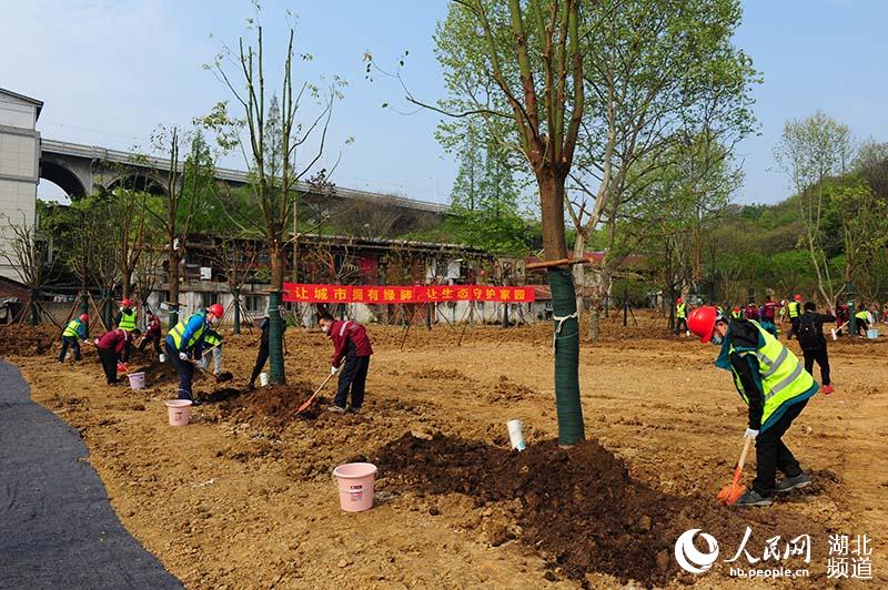 40位“逆行英雄”代表在武漢共植“希望林” 武漢市綠化委員會 提供