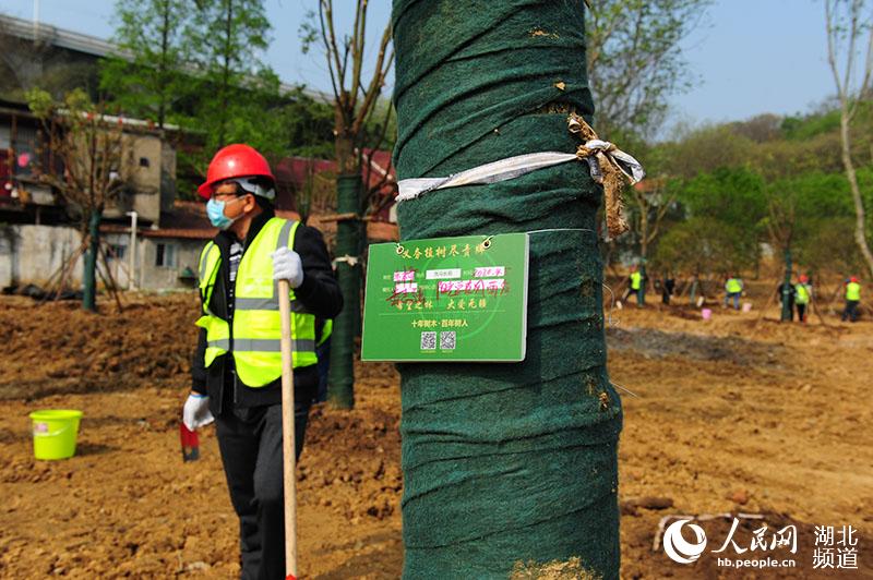 40位“逆行英雄”代表在武漢共植“希望林” 武漢市綠化委員會 提供