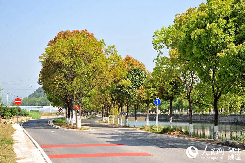 湖北省宜昌市夷陵區宋（家嘴）百（裡荒）公路沿線的鄉村風景。