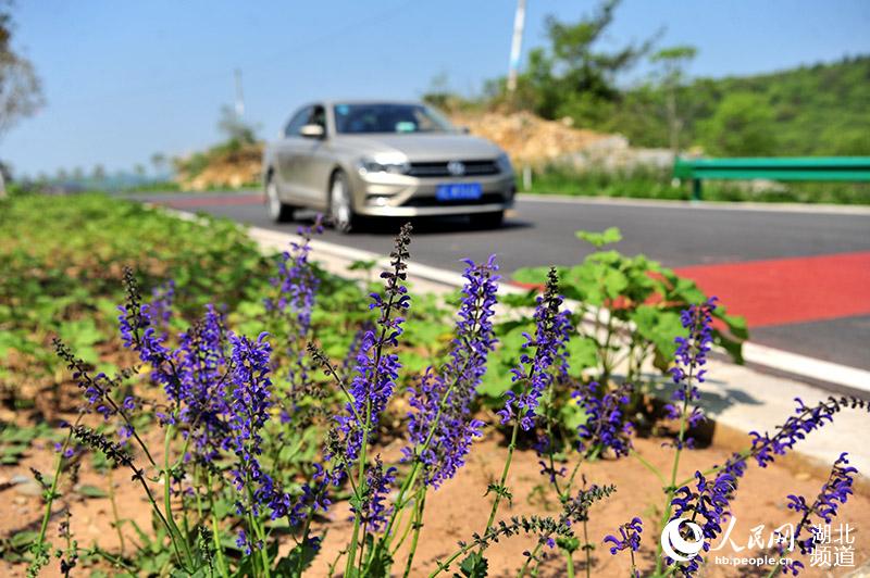 車輛在湖北省宜昌市夷陵區宋（家嘴）百（裡荒）公路上行駛。