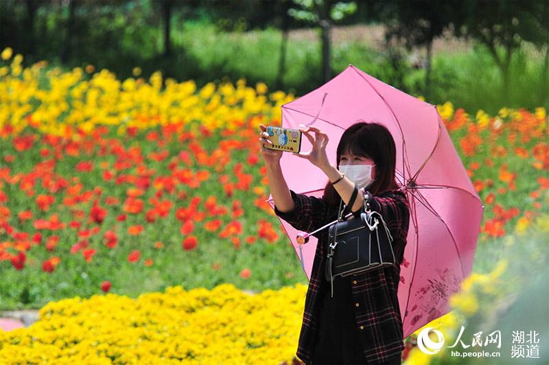 花開春天裡【5】