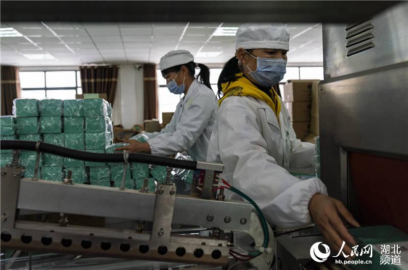 4月25日，工人在秭歸縣九畹絲綿茶扶貧車間對茶葉進行包裝。（向紅梅 攝）
