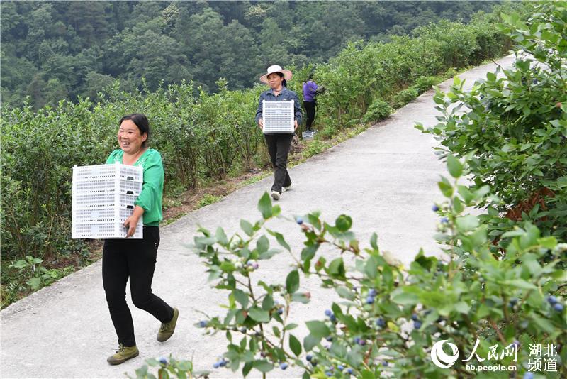 ������������ݮƮ����������2��