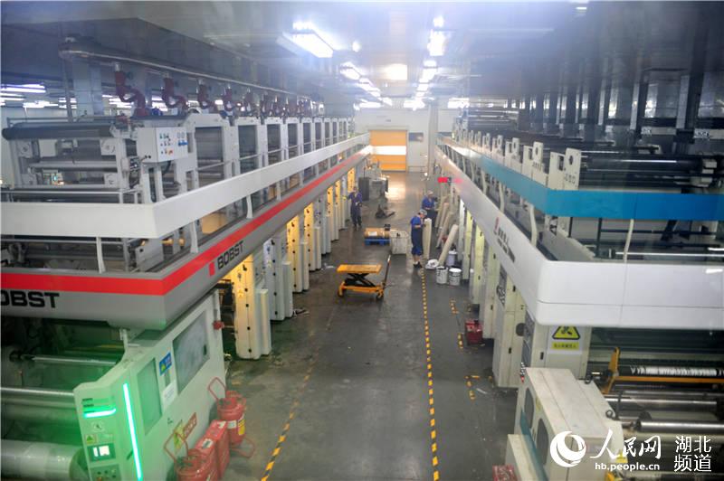 2020年6月5日，湖北省宜昌市夷陵區鴉鵲嶺鎮青宜綜合產業園，一家企業工人在生產車間加工制造包裝材料。