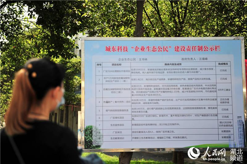 2020年6月5日，市民在湖北省宜昌市夷陵區鴉鵲嶺鎮青宜綜合產業園觀看“企業生態公民”建設責任制公示欄。