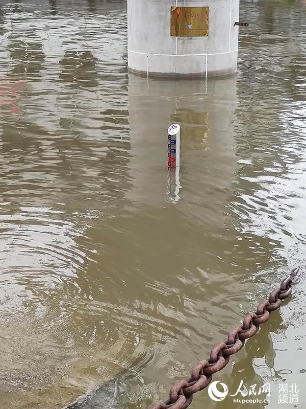 2020年7月5日下午，在長江水文武漢關水位觀測點，長江不斷上漲的洪水，直逼27.30米的警戒水位標識牌。