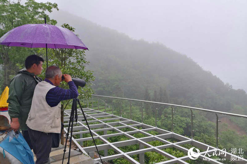 干部對紅土鄉老街后山大型滑坡體進行監測。