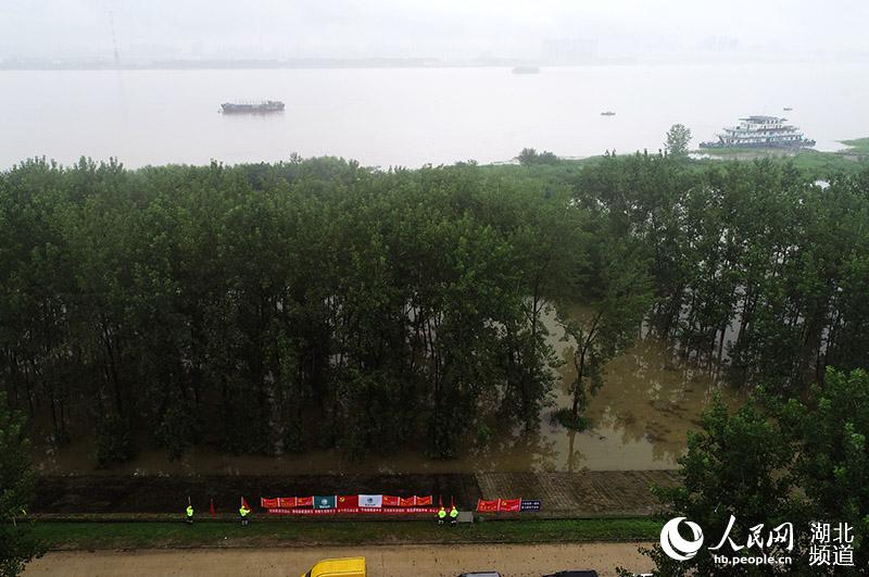 ���������������޹�˾����ֵ�ؽ���