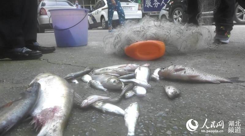 警方查獲漁獲物及漁網