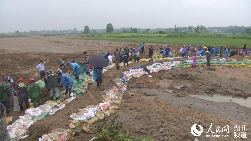抗災生產領導小組組織鋪沙袋防洪。浠水縣融媒體中心供圖