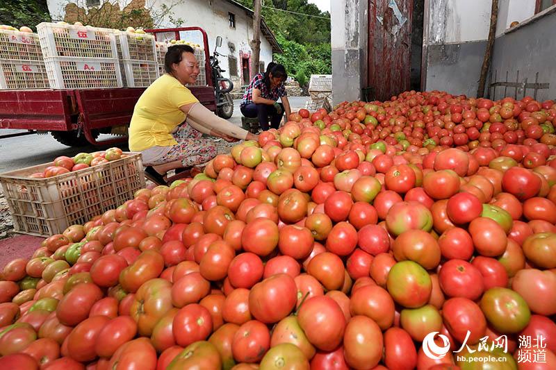 ������������ɽ�߲���ũ������ƶ��14��