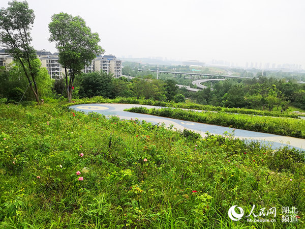 武漢完成75座破損山體生態修復 構建城市生態屏障