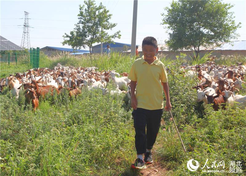 ����ʡТ����Т�����޸���У�ô��Ƹ������ڷ��򡣣������� �㣩