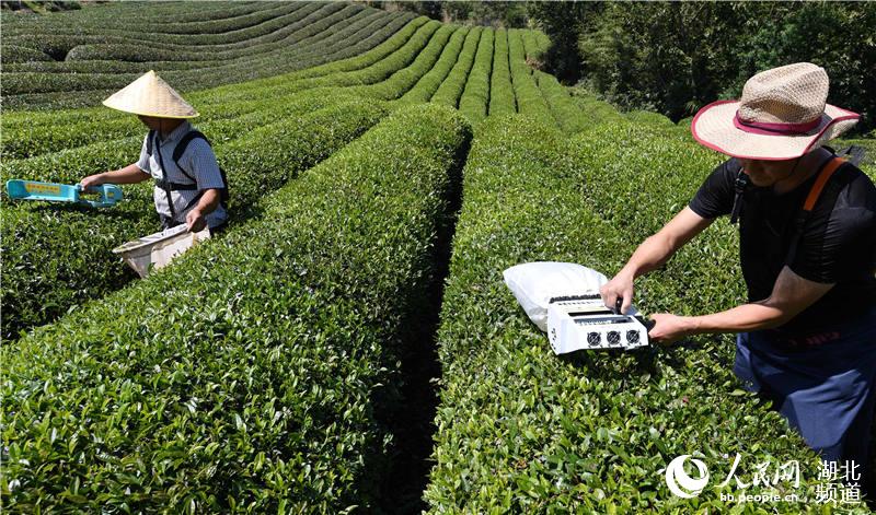 ������������е�ɲ�����ա�2��