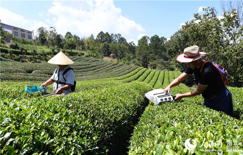 ������������е�ɲ������