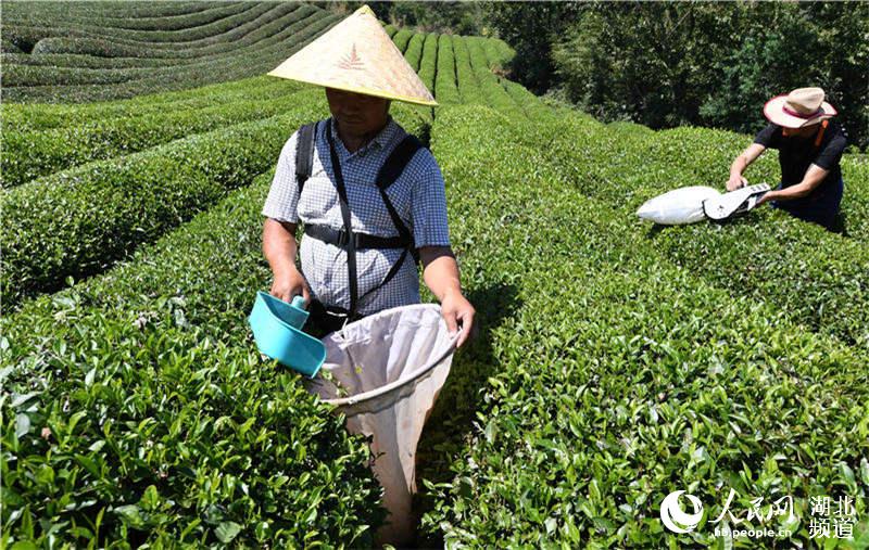 ������������е�ɲ�����ա�3��