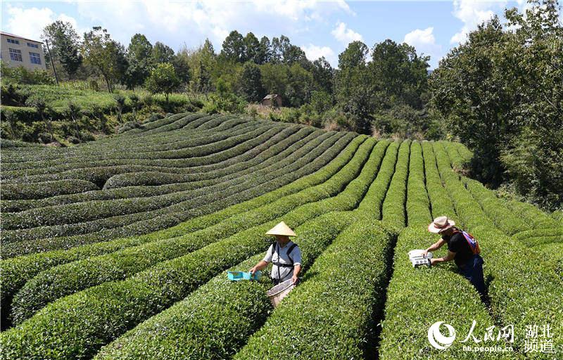 ������������е�ɲ�����ա�4��