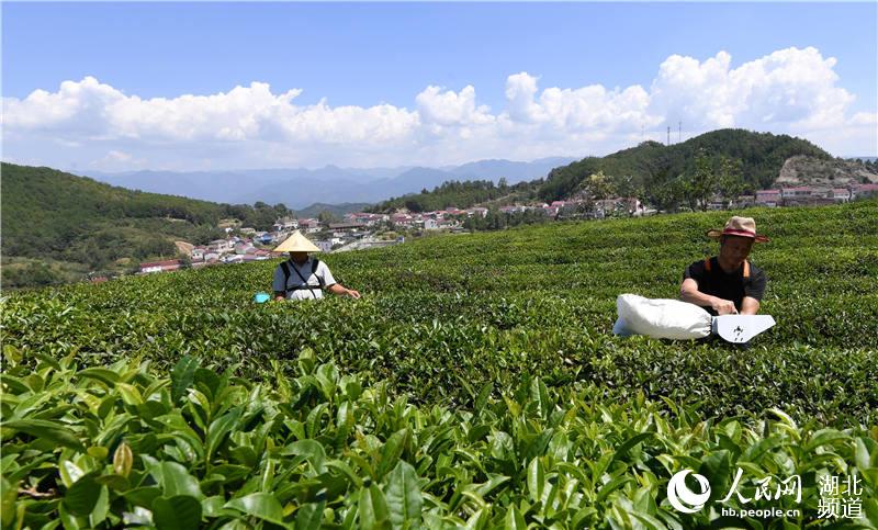 ������������е�ɲ�����ա�5��