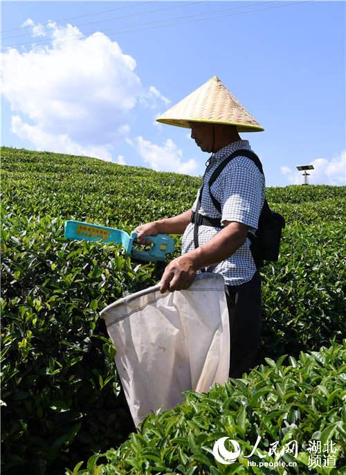 ������������е�ɲ�����ա�7��