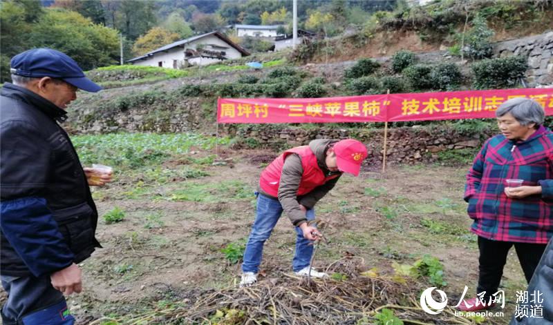 周坪村志願者為老人們講解種植技術（供圖：周坪村委會）